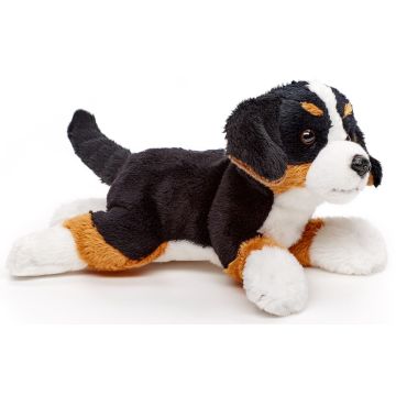 Berner Sennenhund Plushie (ohne Leine) - 21 cm (Länge)