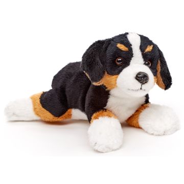 Bernese Mountain Dog Plushie (without Leash) - 21 cm (length)