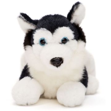 Husky Plushie, liegend (schwarz) - 17 cm (Länge)