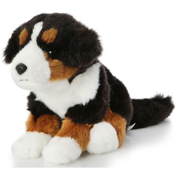 Berner Sennenhund Welpe, sitzend - Ohne Leine - 19 cm (Höhe)