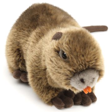 Nutria - 21 cm (Länge)
