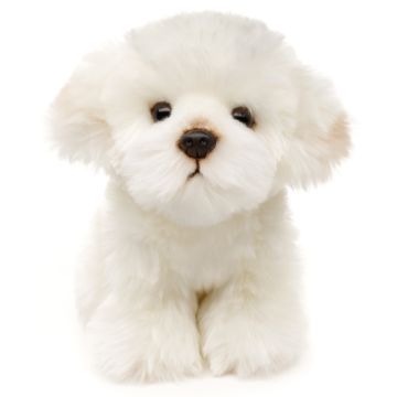 Malteser Hund - 18 cm (Höhe)