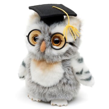 Eule (grau-weiß) mit Doktorhut und Brille - 18 cm (Höhe)