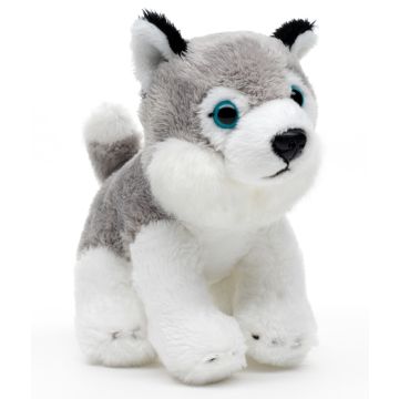 Husky Plushie, sitzend - 13 cm (Länge)