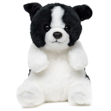 Border Collie, sitzend - Kawaii-Stil - 17 cm (Höhe)