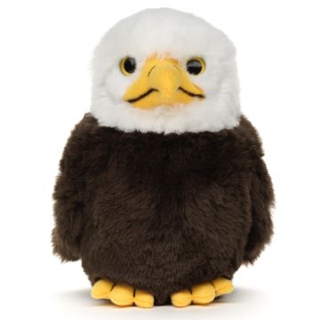 Weißkopfseeadler Baby - 17 cm (Höhe)