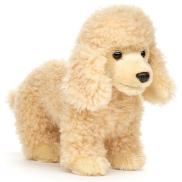 Pudel apricot, stehend (ohne Leine) - 30 cm (Länge)