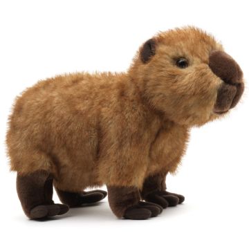 Capybara, standing - 27 cm (length)