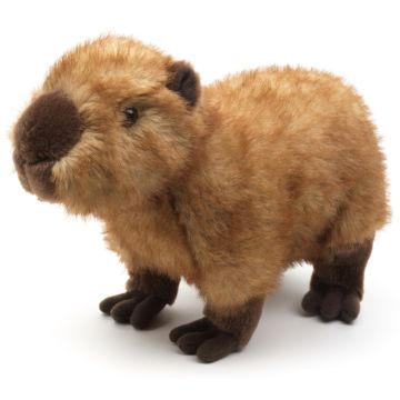 Capybara, stehend - 27 cm (Länge)