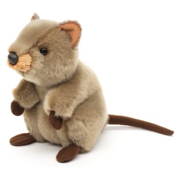 Quokka - 20 cm (Länge)