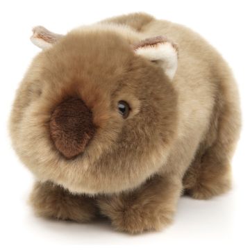 Wombat - 19 cm (Länge)