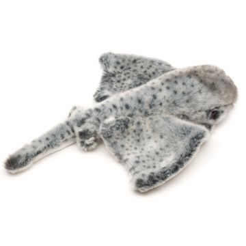 Stachelrochen - 30 cm (Länge)