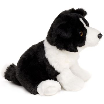 Border Collie, sitzend (ohne Leine) - 20 cm (Höhe)