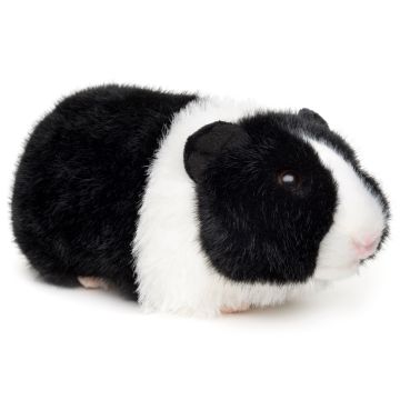 Meerschweinchen (schwarz-weiß) - 21 cm (Länge)