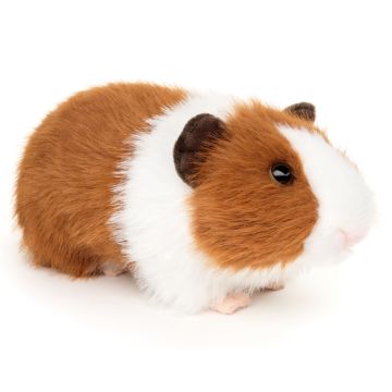 Meerschweinchen (braun-weiß) - 21 cm (Länge)
